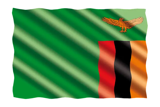 zambia_waving_flag_alt